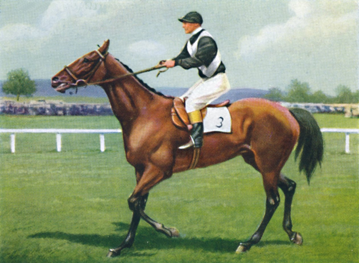 Shalfleet, Jockey: R. Perryman, 1939 tekijältä Unbekannt