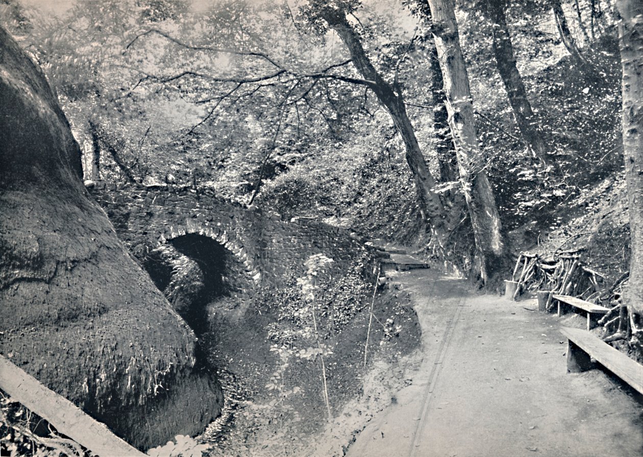 Shanklin - Chine, 1895 tekijältä Unbekannt