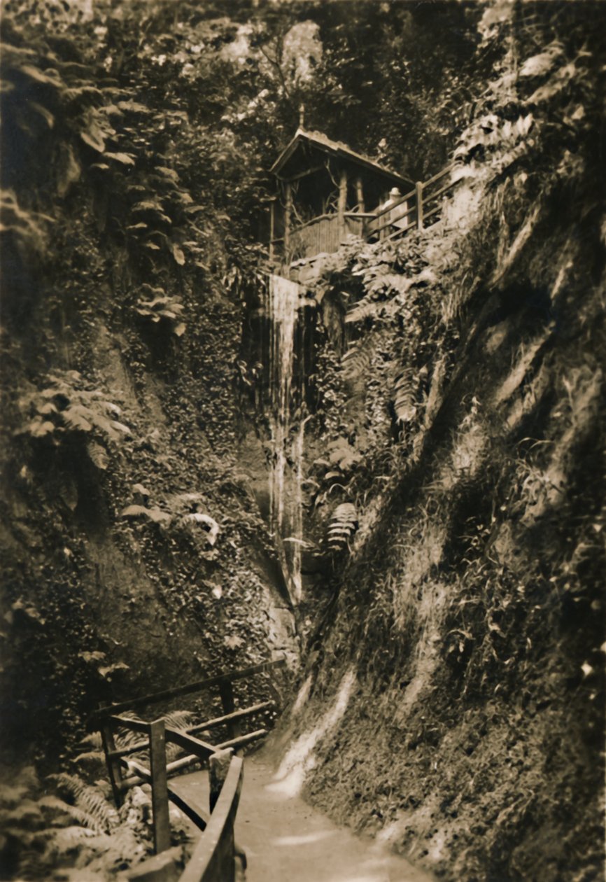Shanklin Chine, I.W., 1920. tekijältä Unbekannt