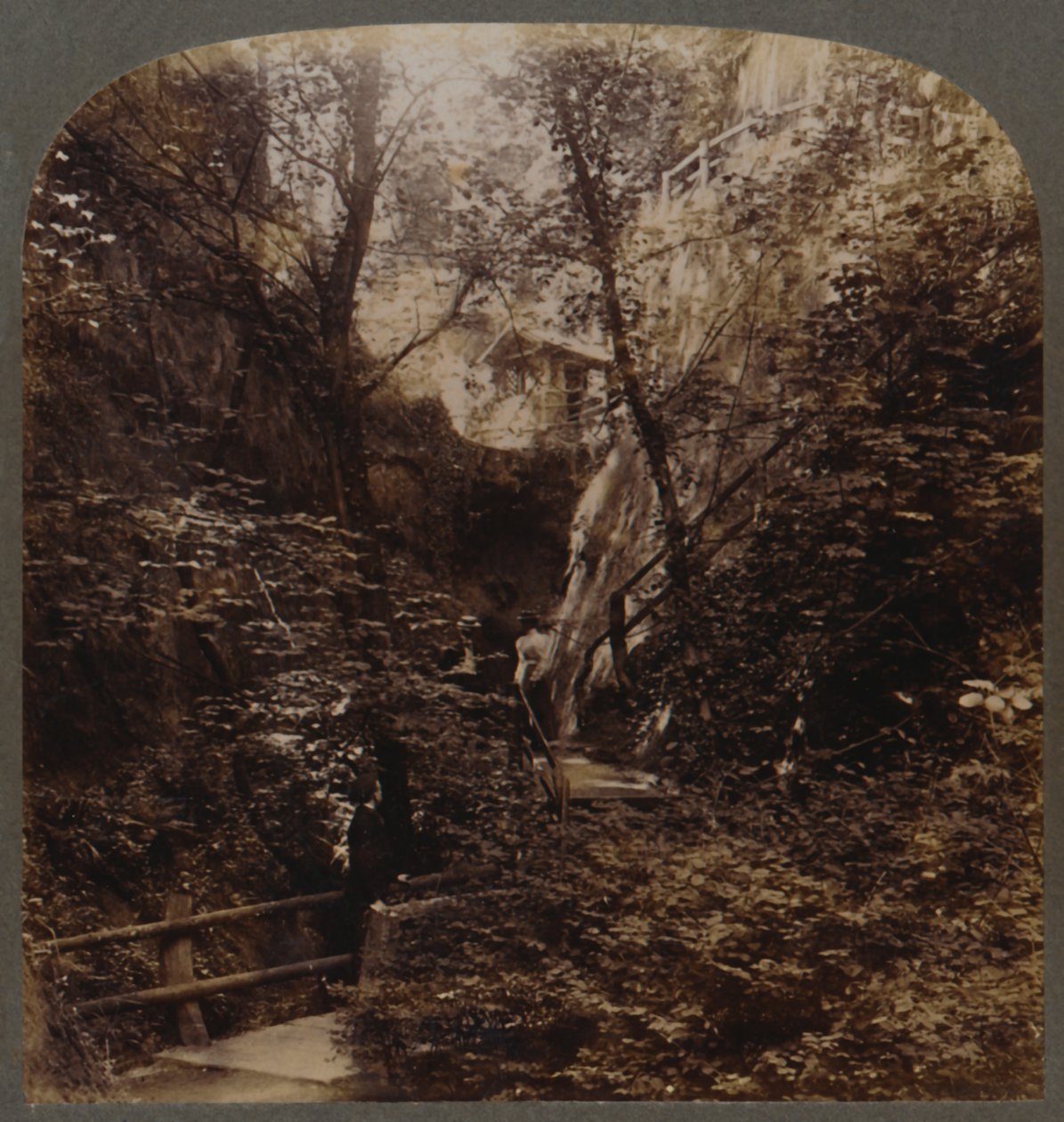 Maailmanlaajuinen Shanklin Chine, Isle of Wight, Englanti, 1910. tekijältä Unbekannt
