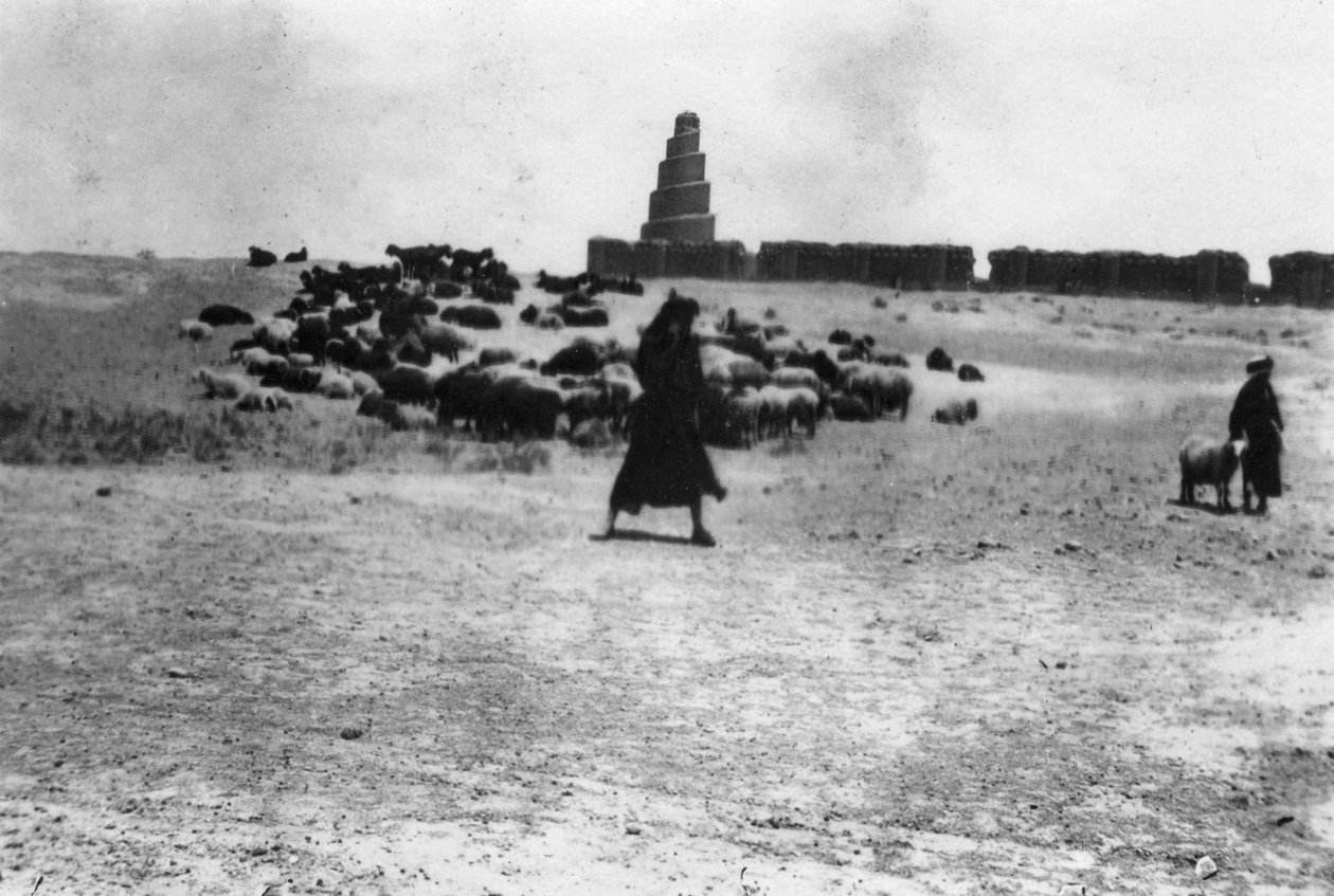 Lampaat laiduntavat Samarran ulkopuolella Mesopotamiassa, 1918 tekijältä Unbekannt