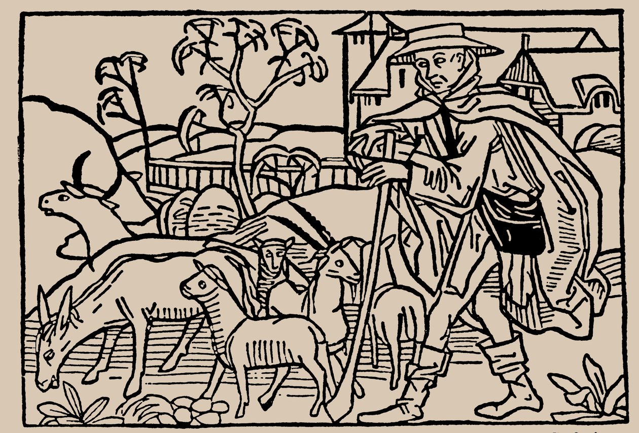 Paimen. Rodericus Zamorensisin ihmiselämän peilistä, 1479 tekijältä Unbekannt