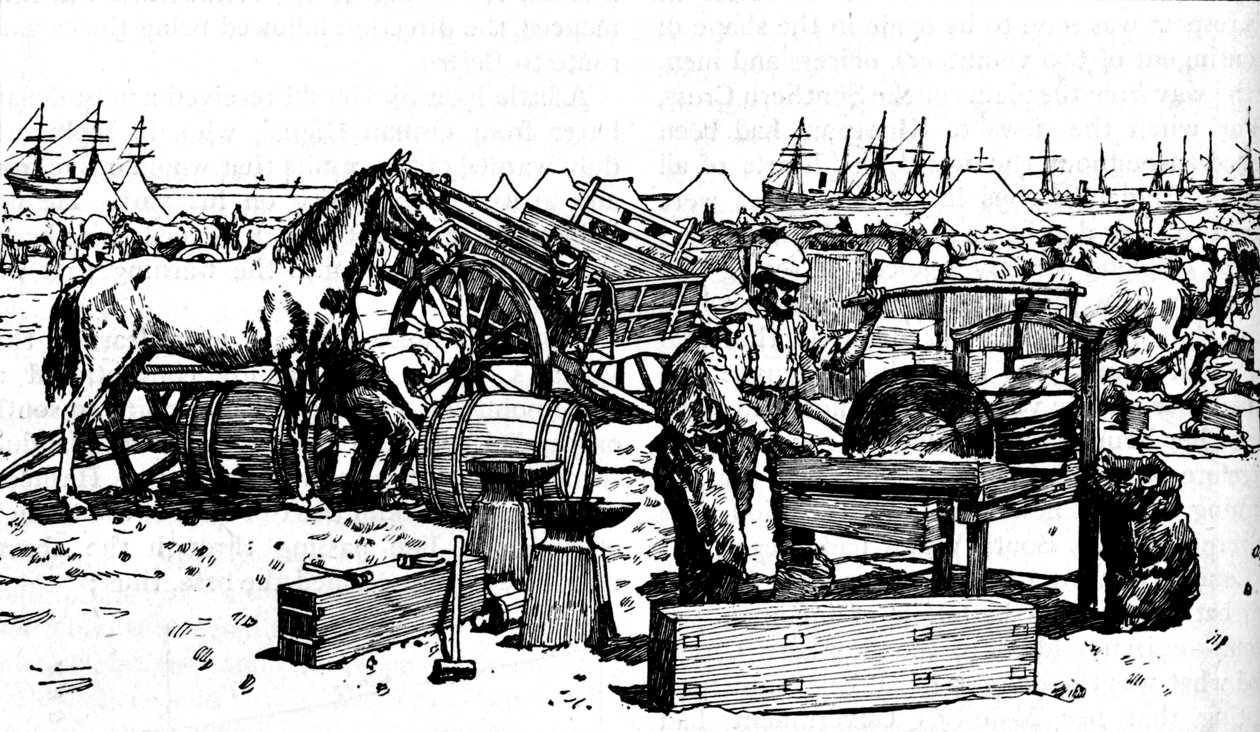 Shoeing Forge of the New South Walesin tykistö Suakimissa, c1885, 1902 tekijältä Unbekannt