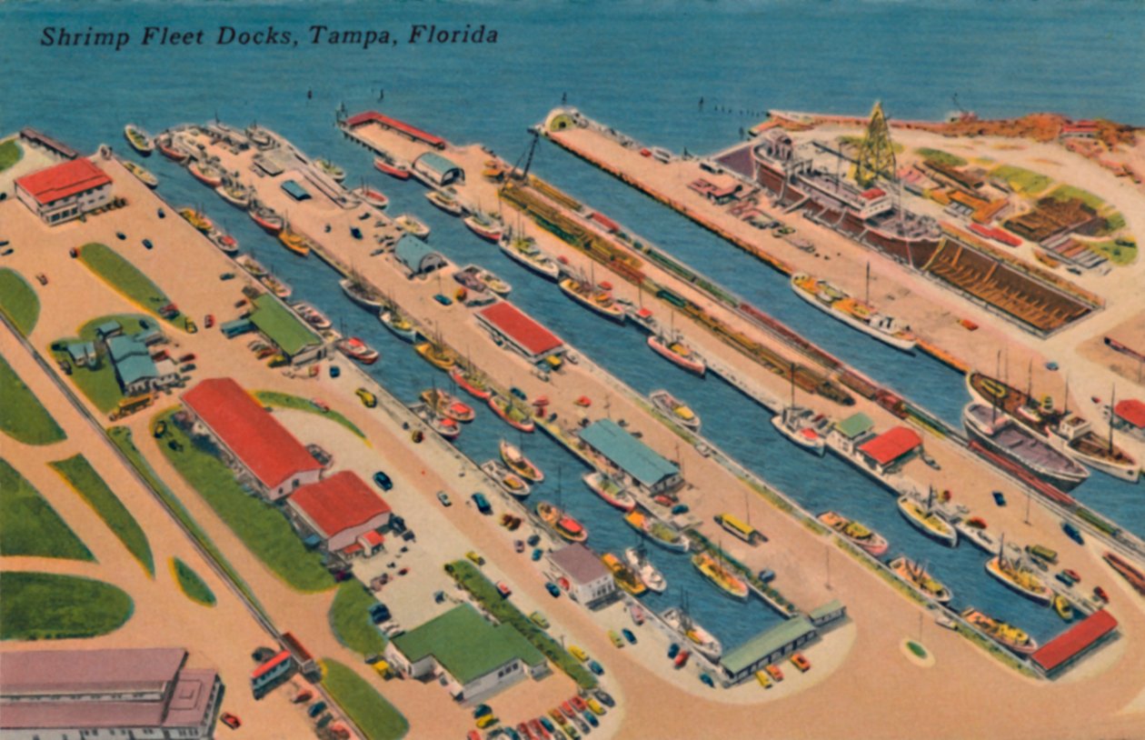 Shrimp Fleet Docks, Tampa, Florida, 1940-luku tekijältä Unbekannt