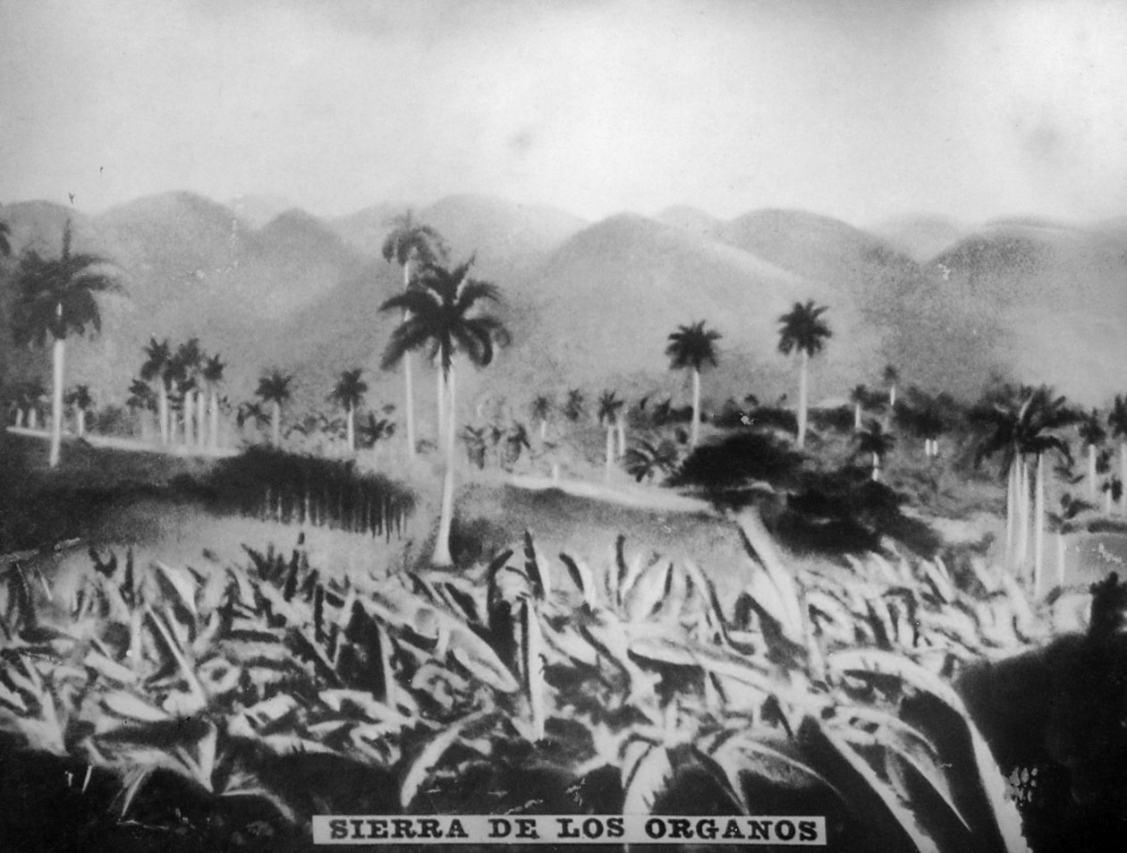 Sierra de los Organos, 1896, 1920-luku tekijältä Unbekannt