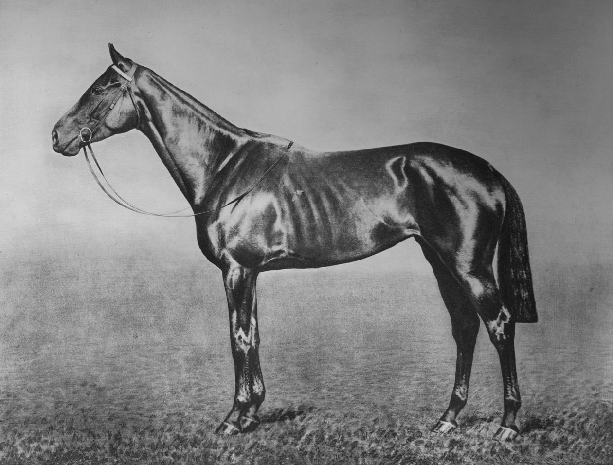 Neiti, 1905-1928, 1911 tekijältä Unbekannt