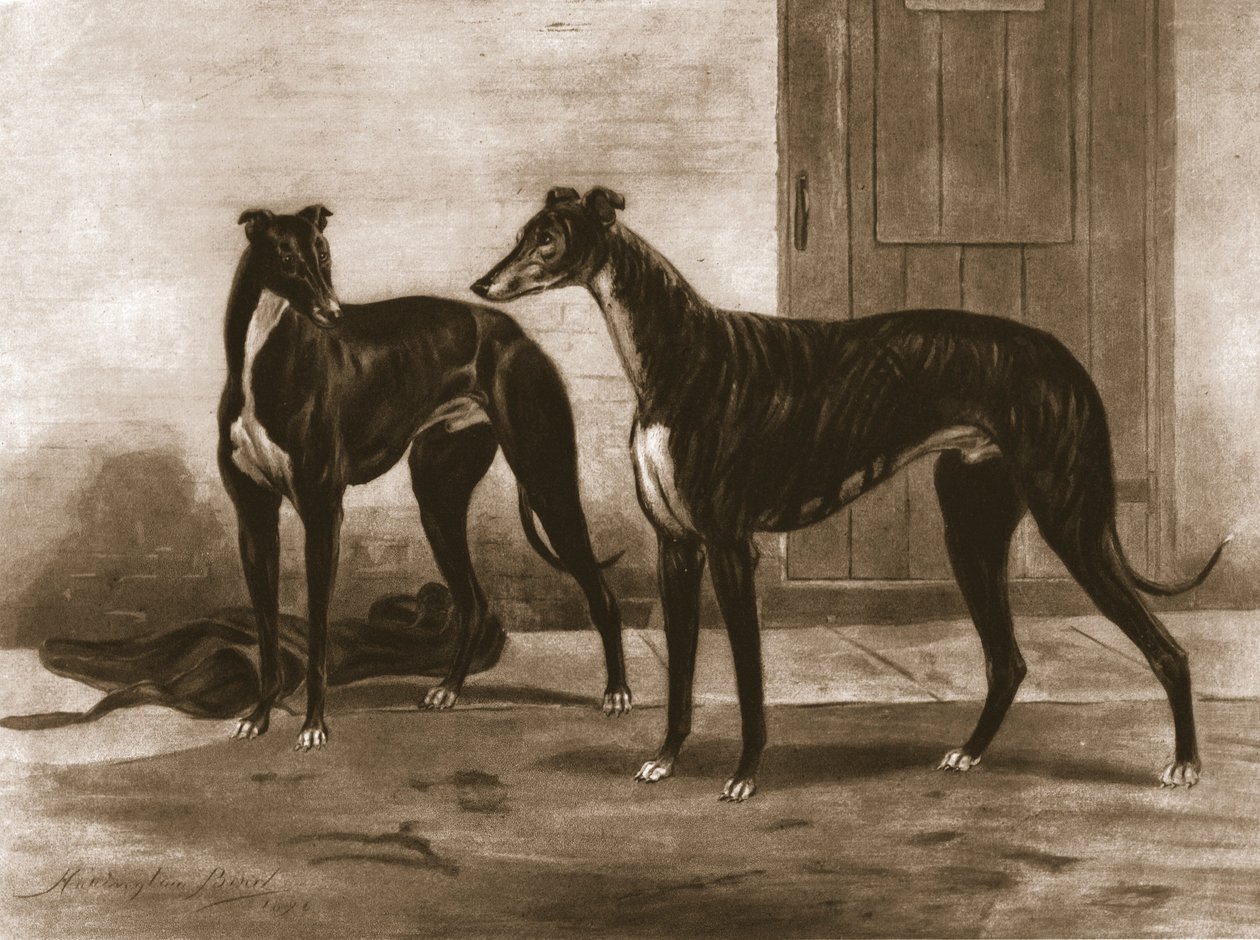 Simonian ja Fullerton, s. 1891, 1911. tekijältä Unbekannt