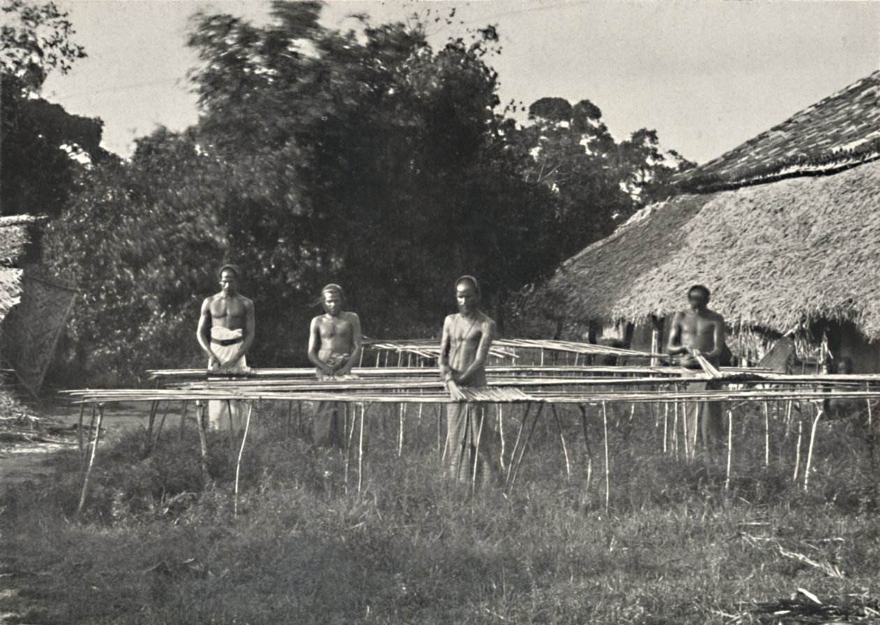 Sinhala-kanelityöläiset töissä, 1926 tekijältä Unbekannt