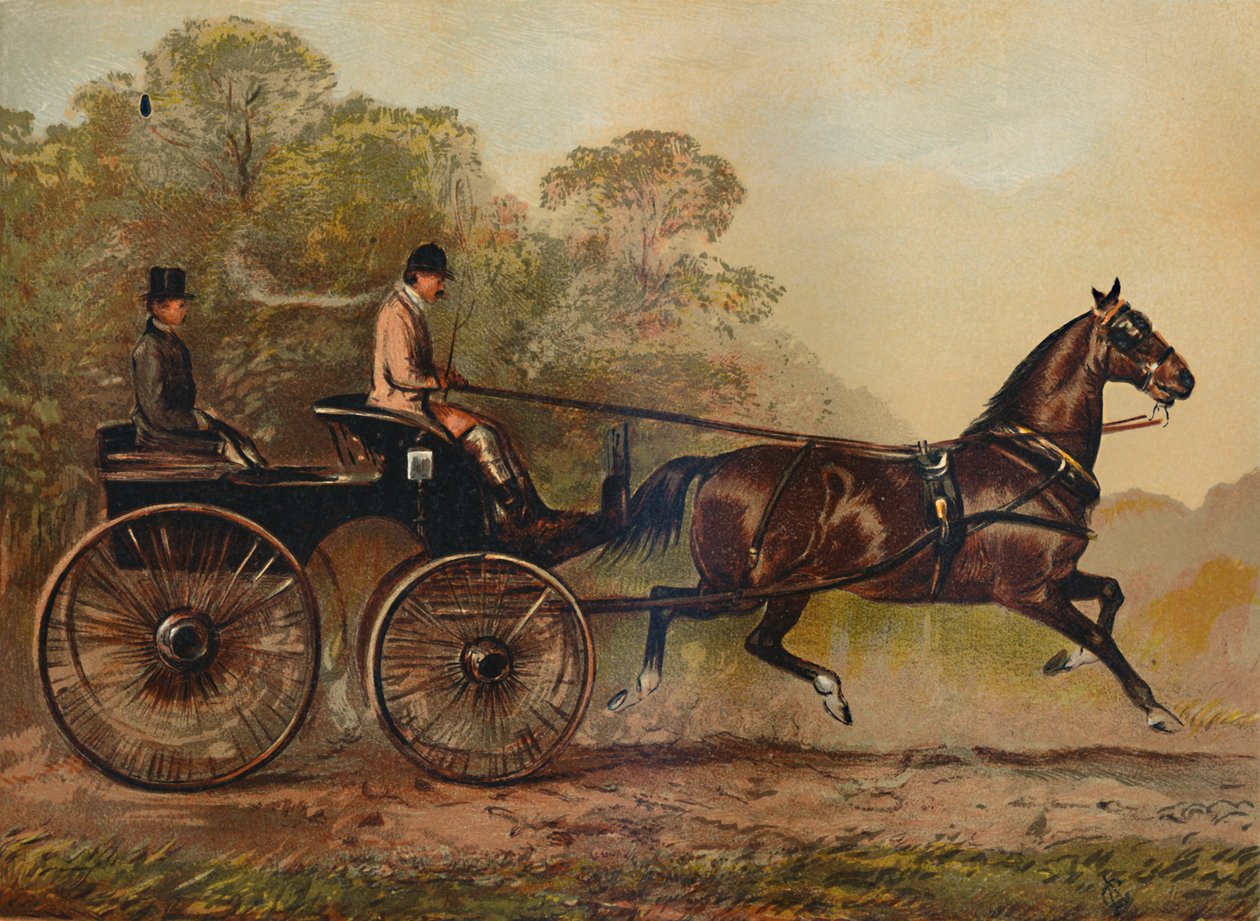 Yksivaljaat Phaeton Horse Columbine. Charles Baynesin kiinteistö, 1872, c1879 tekijältä Unbekannt