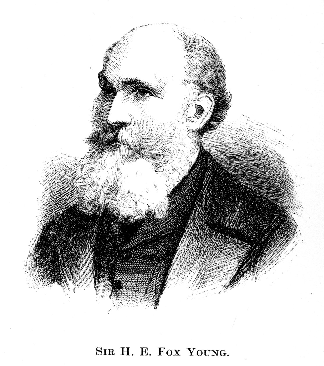 Sir Henry Edward Fox Young, 1886 tekijältä Unbekannt