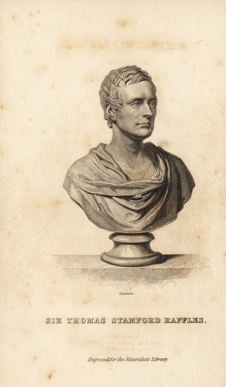 Sir Thomas Stamford Raffles, brittiläinen valtiomies, kirjailija ja luonnontieteilijä tekijältä Unbekannt