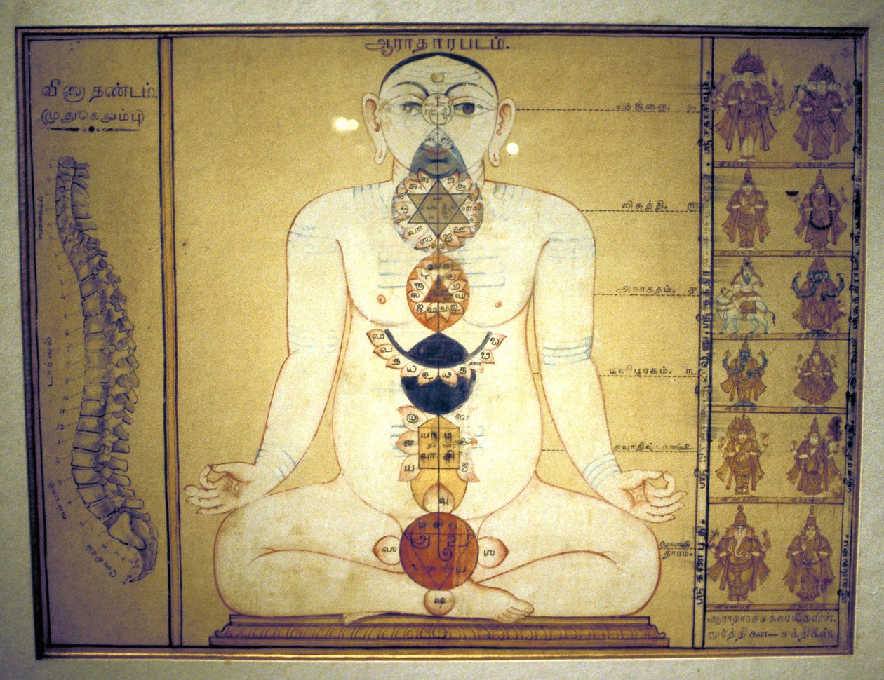 Kuusi chakraa, jotka edustavat ihmiskehon plexuksia, Tanjore, Tamil Nadu, c1850 tekijältä Unbekannt