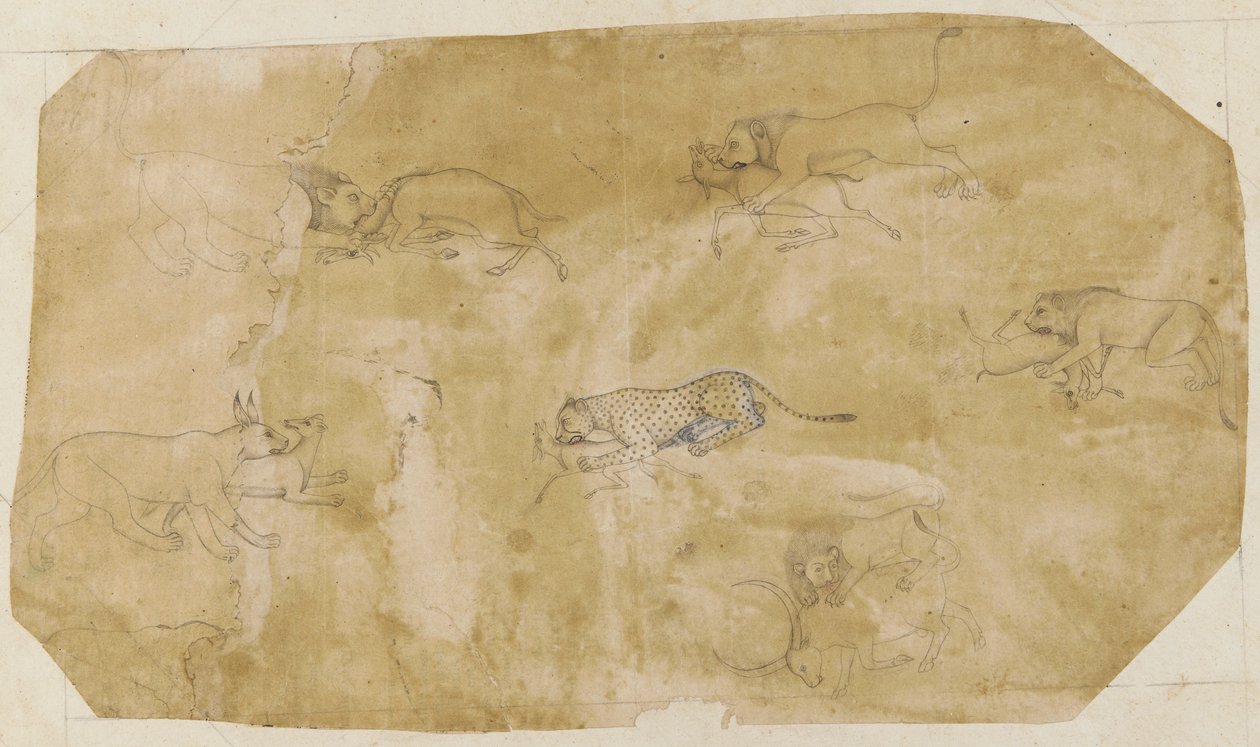 Kuusi taistelueläinryhmää, 1700-luku. tekijältä Unbekannt