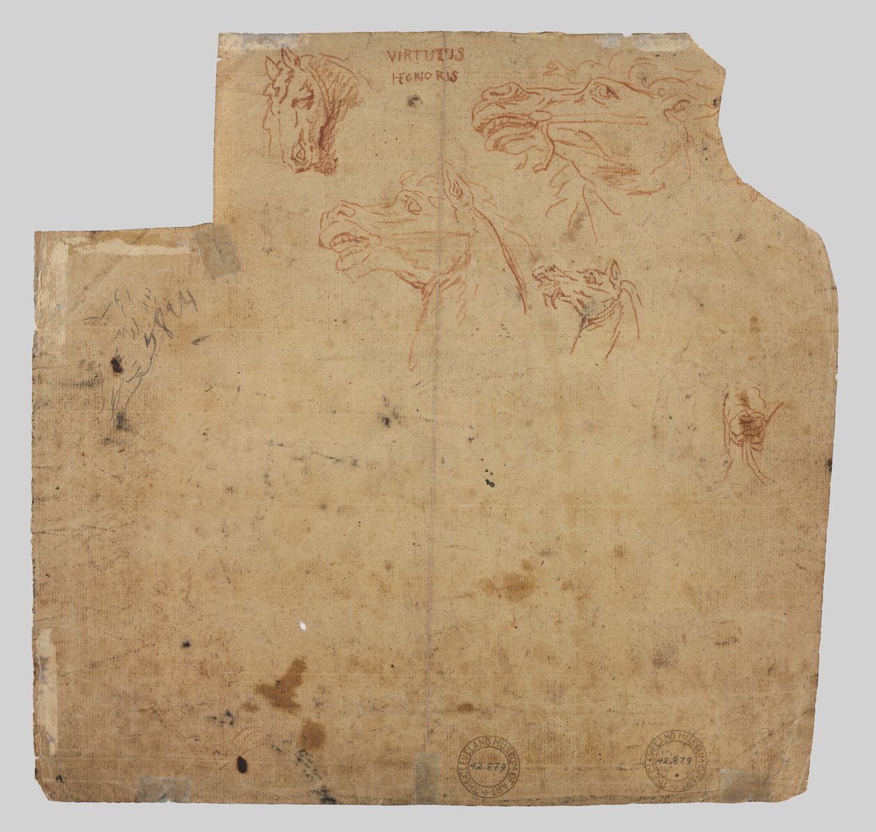 Luonnoksia hevosten versosta, 1600-luku. tekijältä Unbekannt