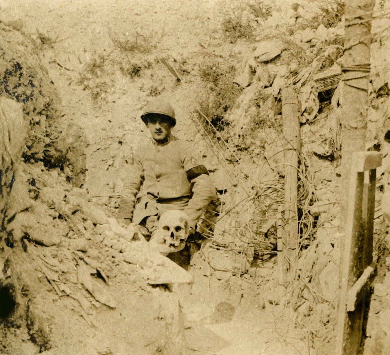 Haudoista löydetty kallo, c1914-c1918 tekijältä Unbekannt