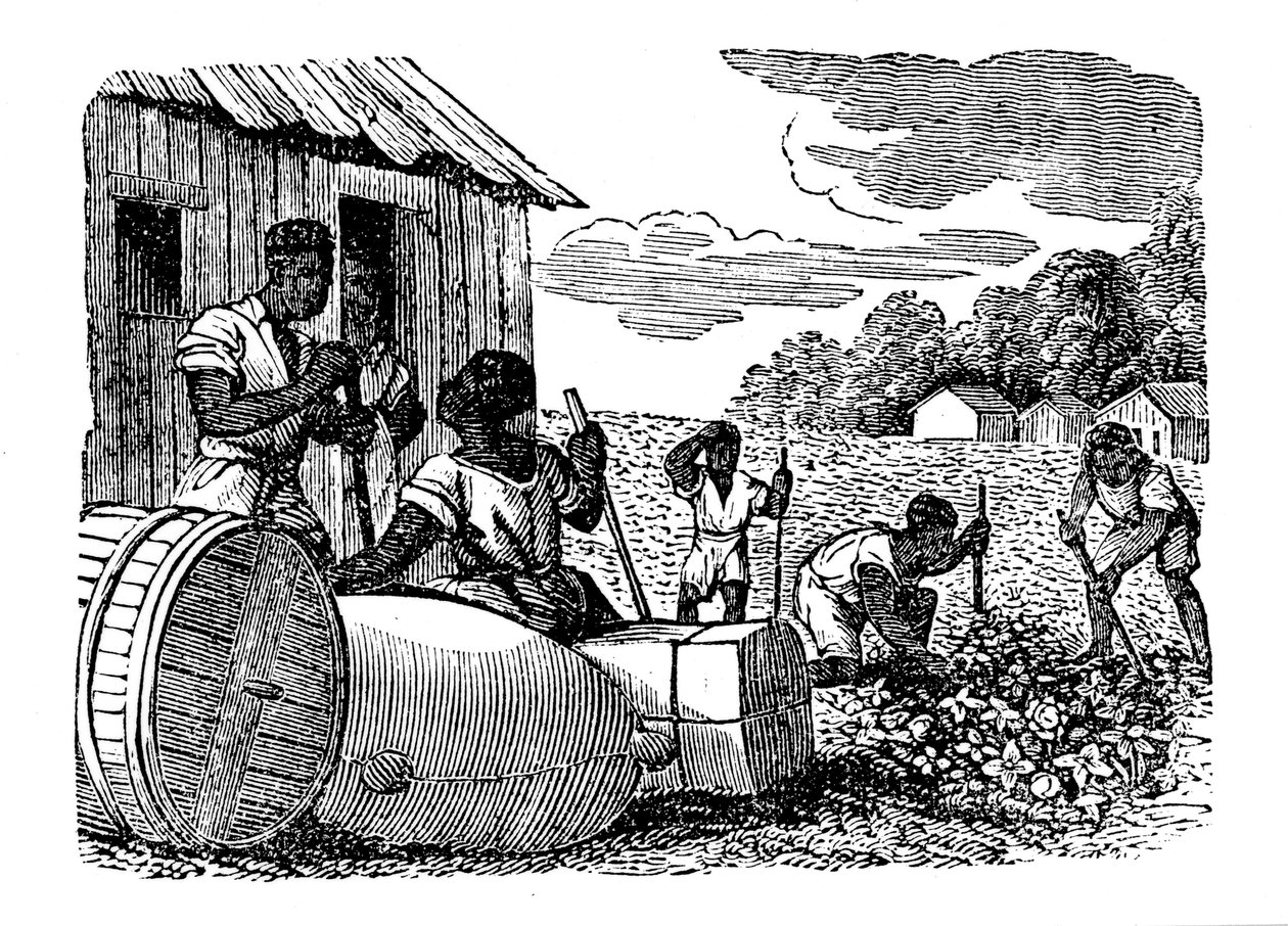 Orjat työskentelevät tupakkaviljelmällä, 1833 tekijältä Unbekannt