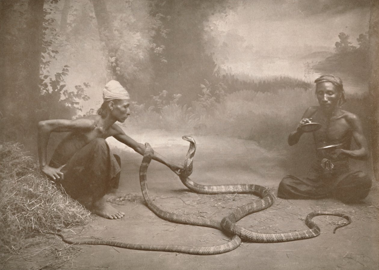 Snake Charmers ja Hamadryads Kuy Cobras, 1900. tekijältä Unbekannt