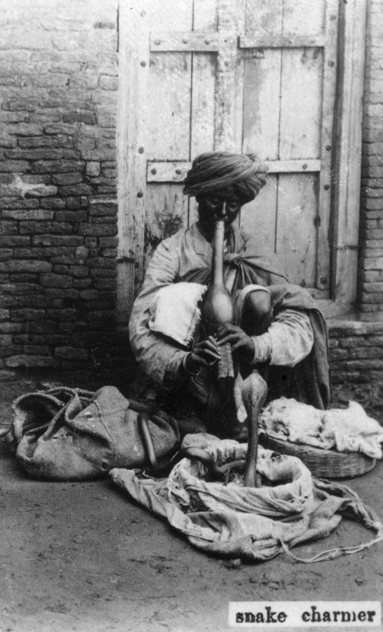 Käärmeen hurmaaja, Intia, 1900-luku tekijältä Unbekannt
