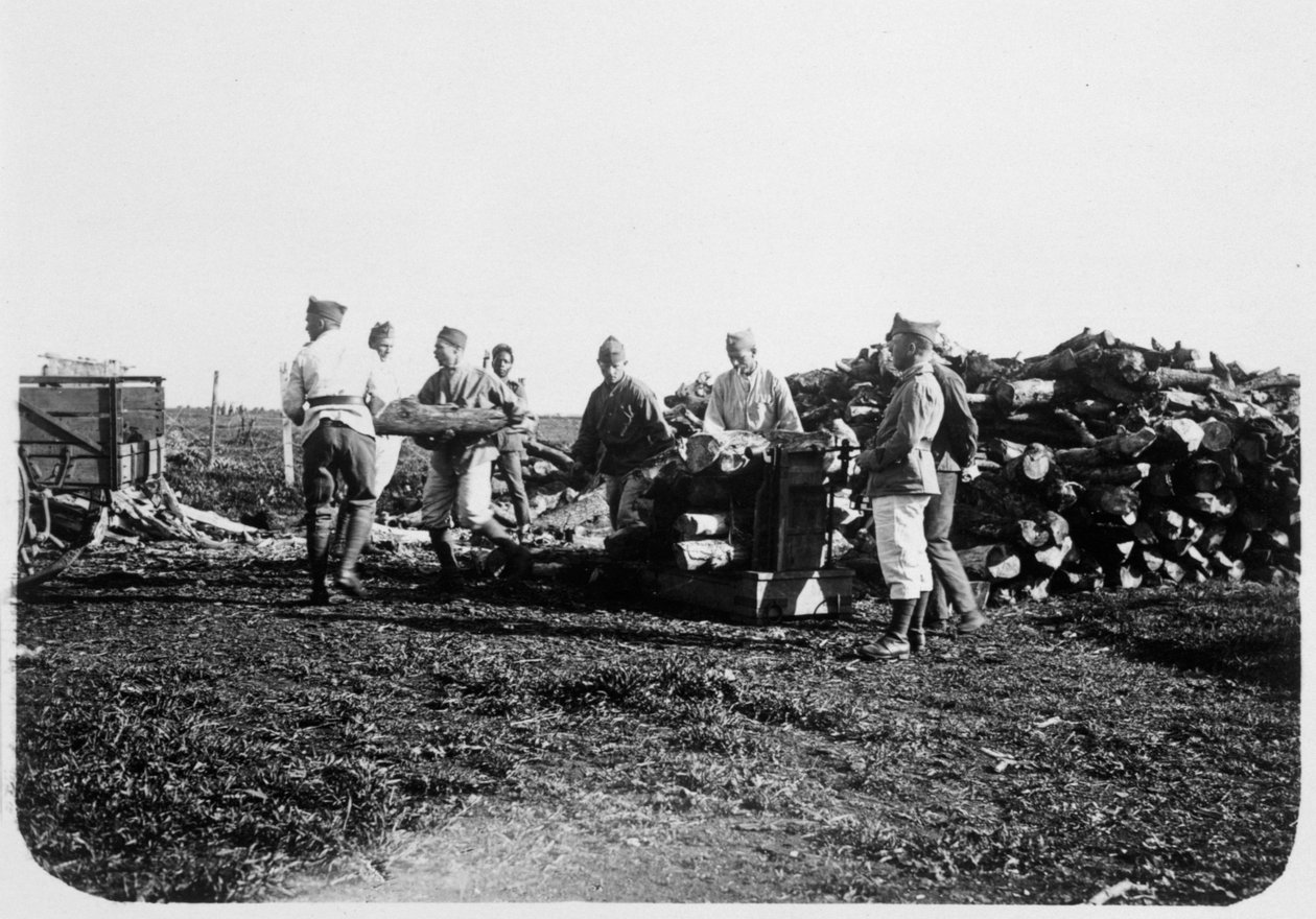 Ranskan muukalaislegioonan sotilaat pinoamassa tukia, Syyria, 1900-luku tekijältä Unbekannt
