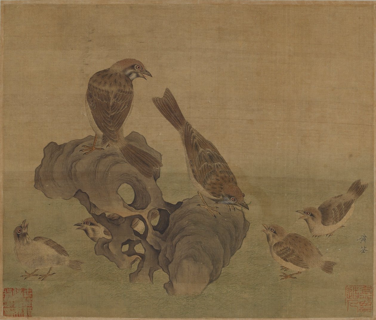 Varpuset ruokkimassa poikasiaan, Ming- tai Qing-dynastia, 1600-luku. tekijältä Unbekannt