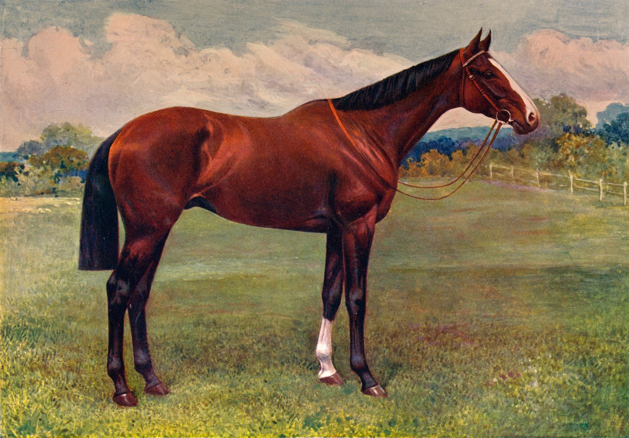 Viherminttu, c1905 c1910 tekijältä Unbekannt