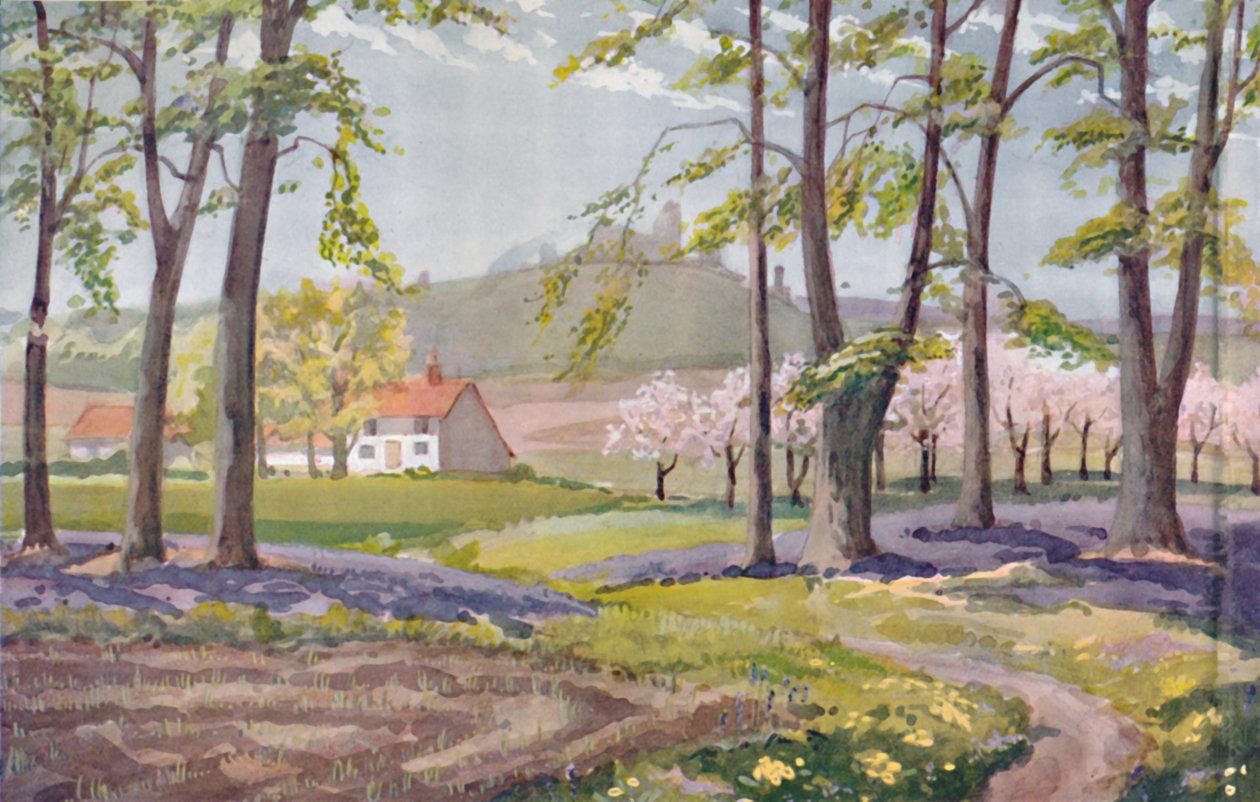 Kevät - Auringon aiheuttamat fyysiset, kemialliset ja biologiset muutokset vuoden 1935 aikana. tekijältä Unbekannt