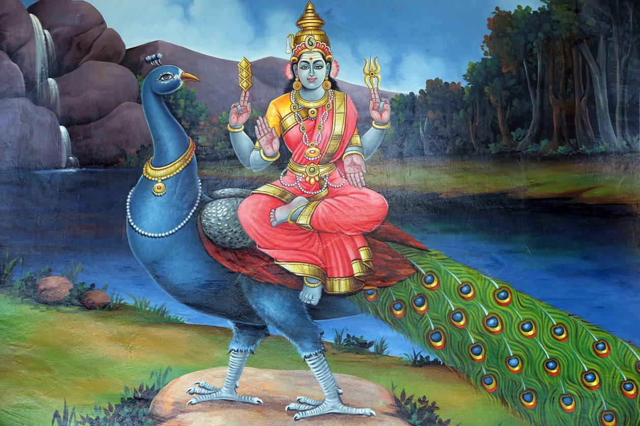 Sri Mariammanin hindutemppeli. Sri Gowmari riikinkukon kanssa, Subramanjanin symboli. Singapore tekijältä Unbekannt