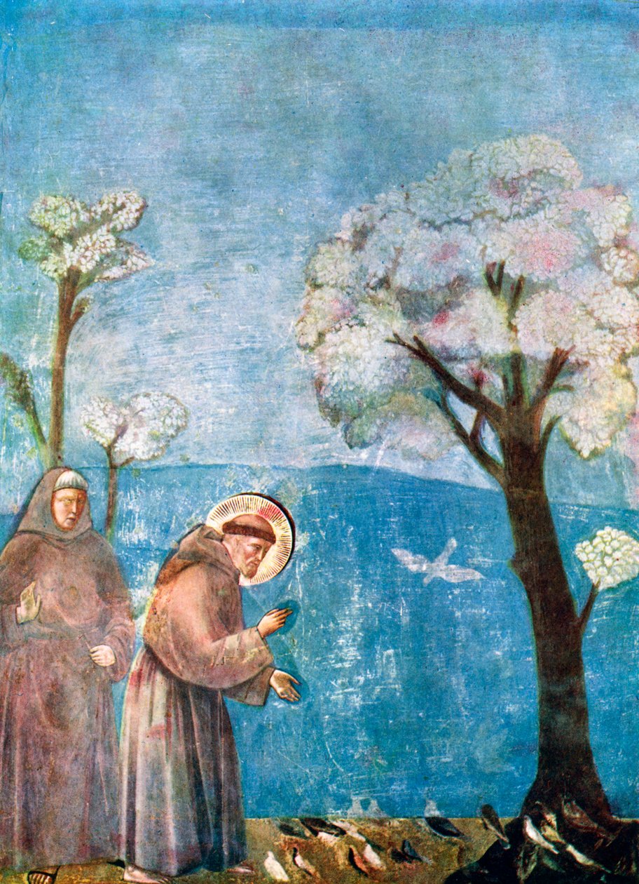 Pyhä Franciscus saarnaa linnuille, 1297-1299, c1900-1920 tekijältä Unbekannt