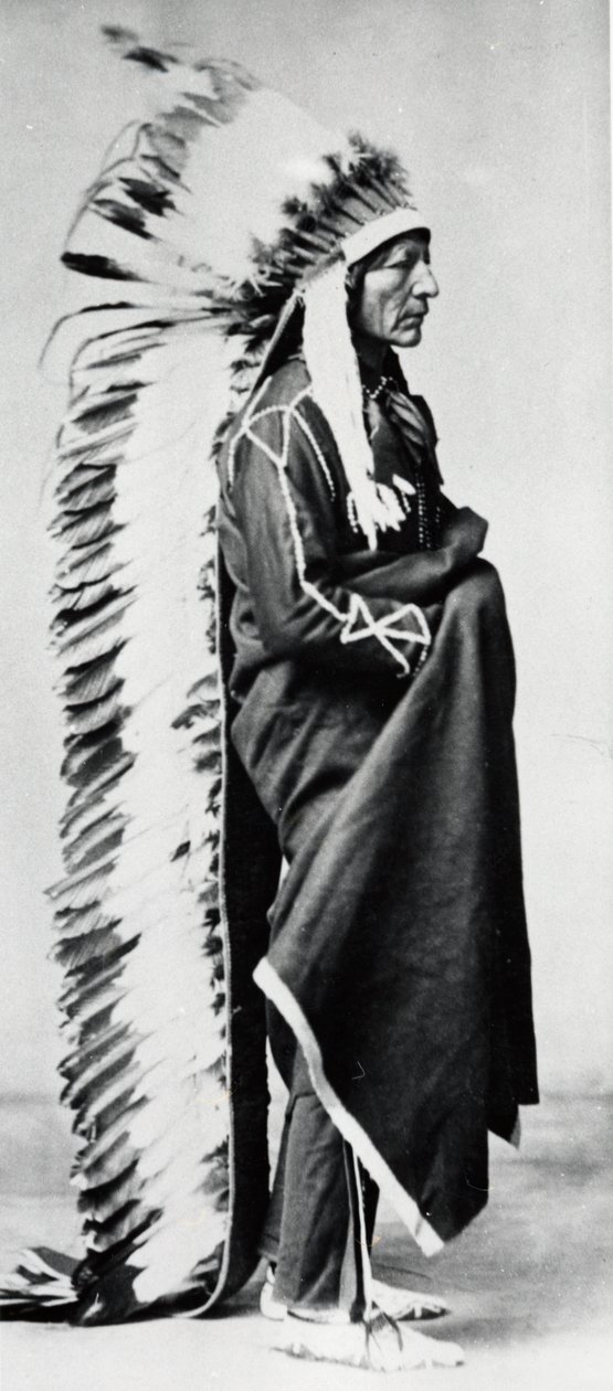 Pysyvä karhu, Dakota Siouxin päällikkö, Pohjois-Amerikan tasangon intiaanit, c1885-c1890 tekijältä Unbekannt