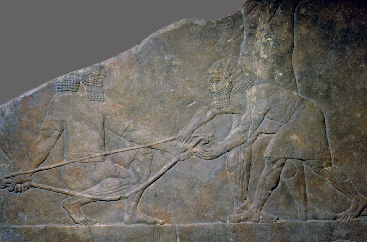 Kivipaneeli Ashurbanipalin pohjoispalatsista, Ninive, Pohjois-Irak, uusassyrialainen, n. 645 eaa. tekijältä Unbekannt