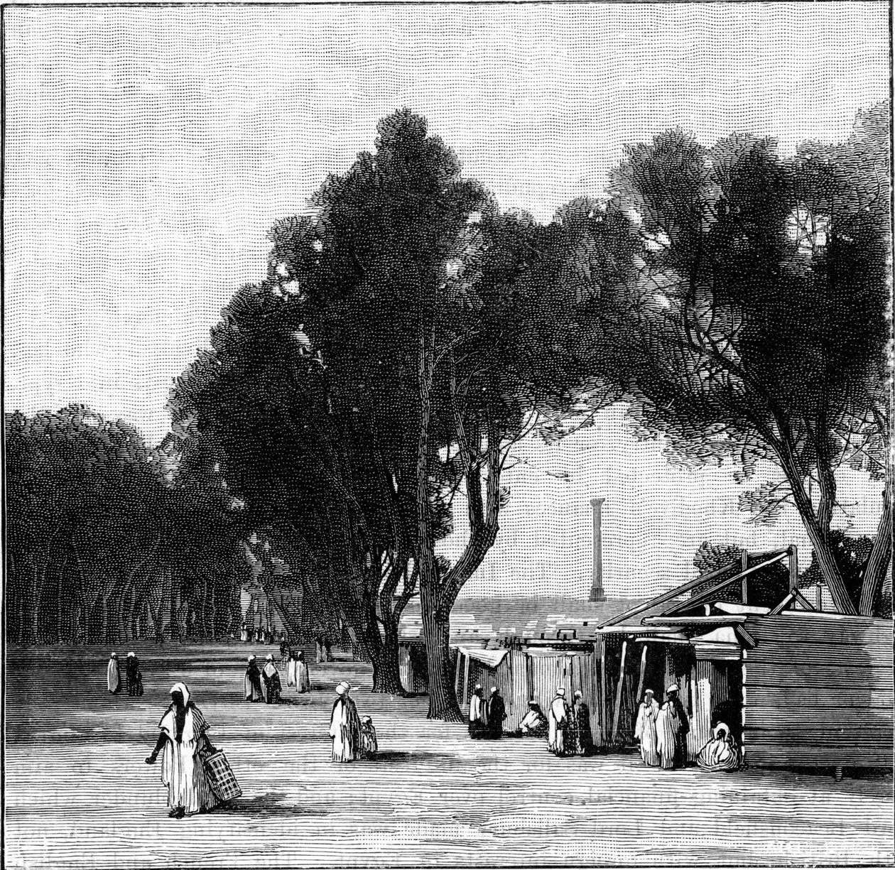 Katukuva, jossa Pompeuksen pilari kaukaisuudessa, Aleksandria, Egypti, 1900 tekijältä Unbekannt