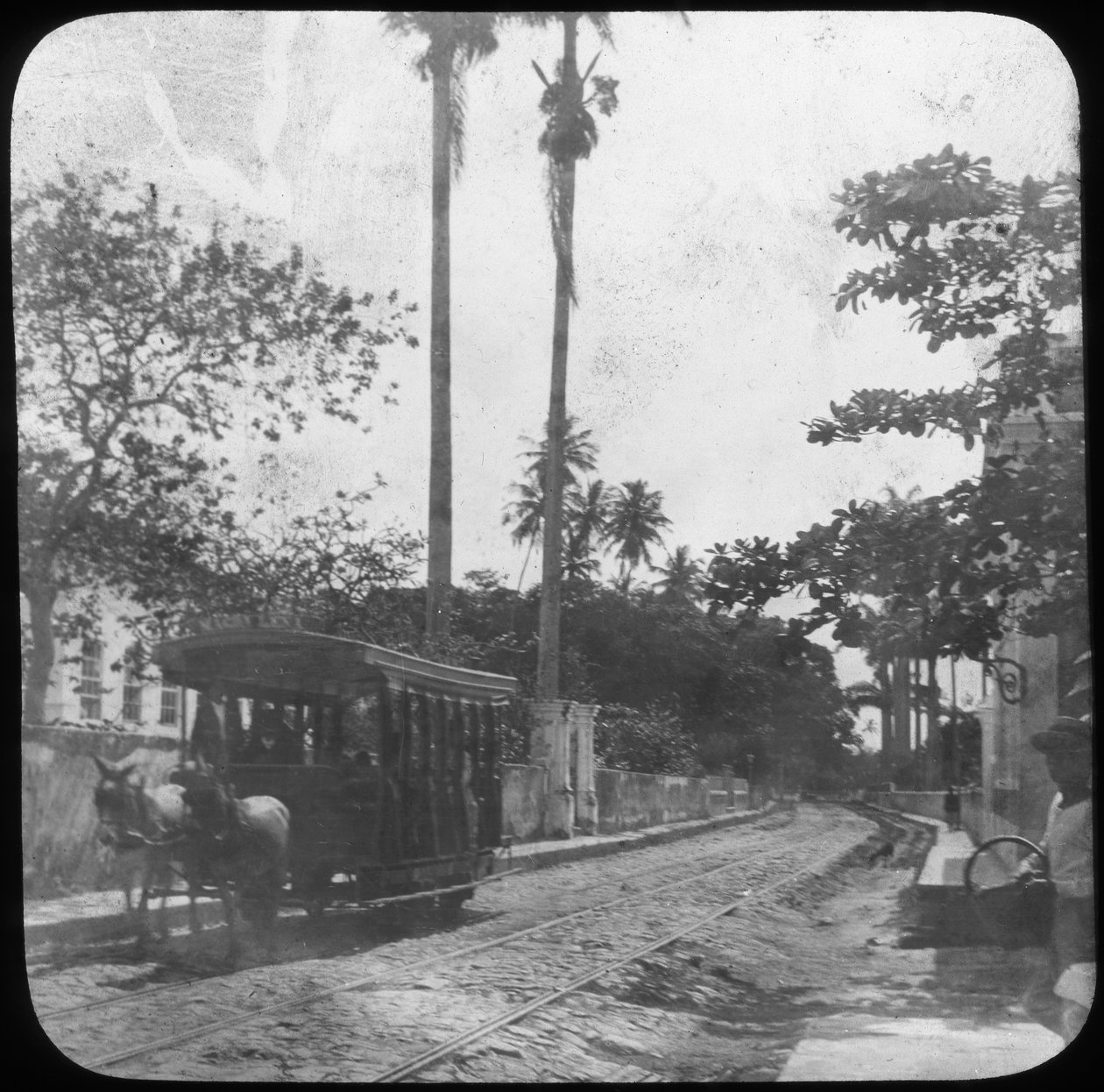 Katukuva hevosraitiovaunulla, Pernambuco, Brasilia, 1800-luvun loppu tai 1900-luvun alku tekijältä Unbekannt