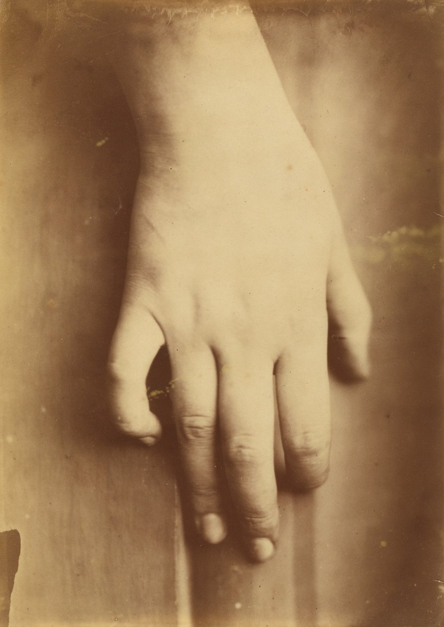 Study of a Hand, 1865. tekijältä Unbekannt