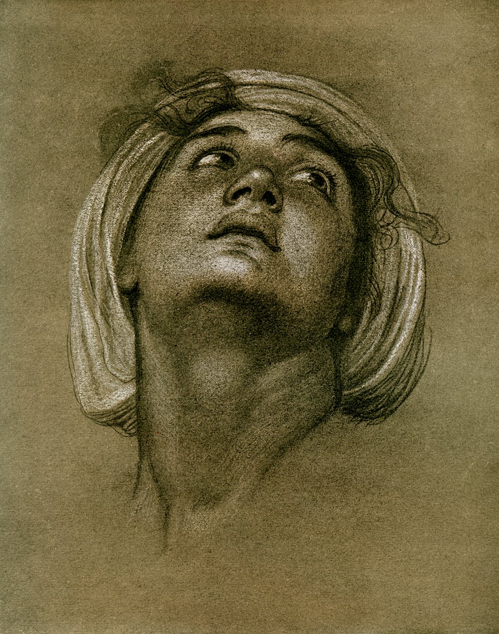 Päätutkimus, 1901 tekijältä Unbekannt