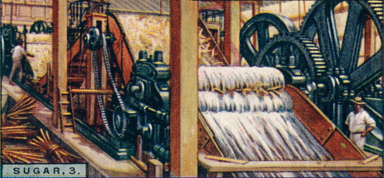 Sokeri, 3. Puristamalla keppejä, Java, 1928 tekijältä Unbekannt