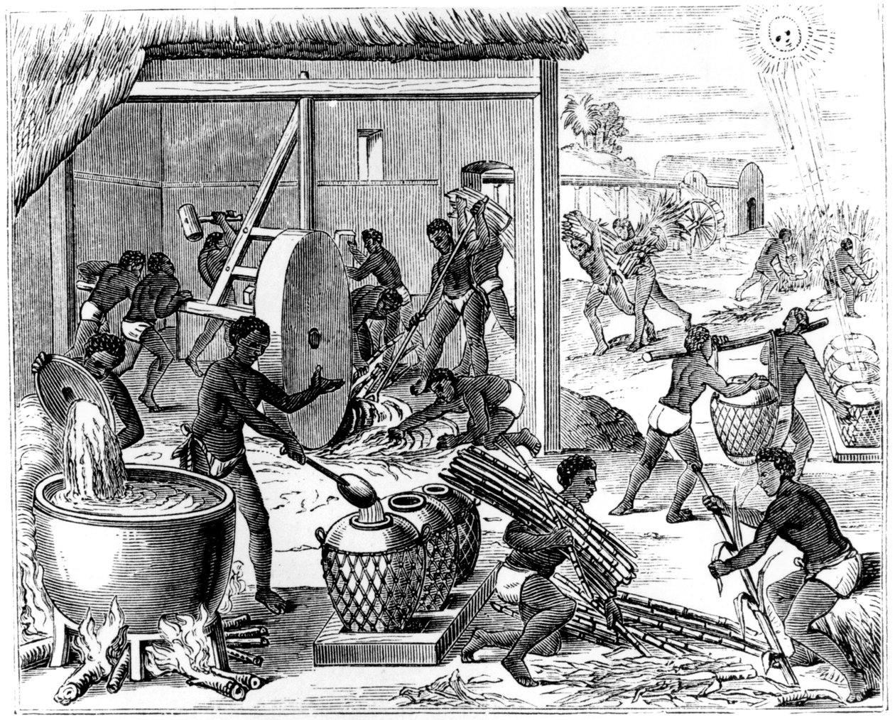 Sokerin tuotanto, 1873 tekijältä Unbekannt