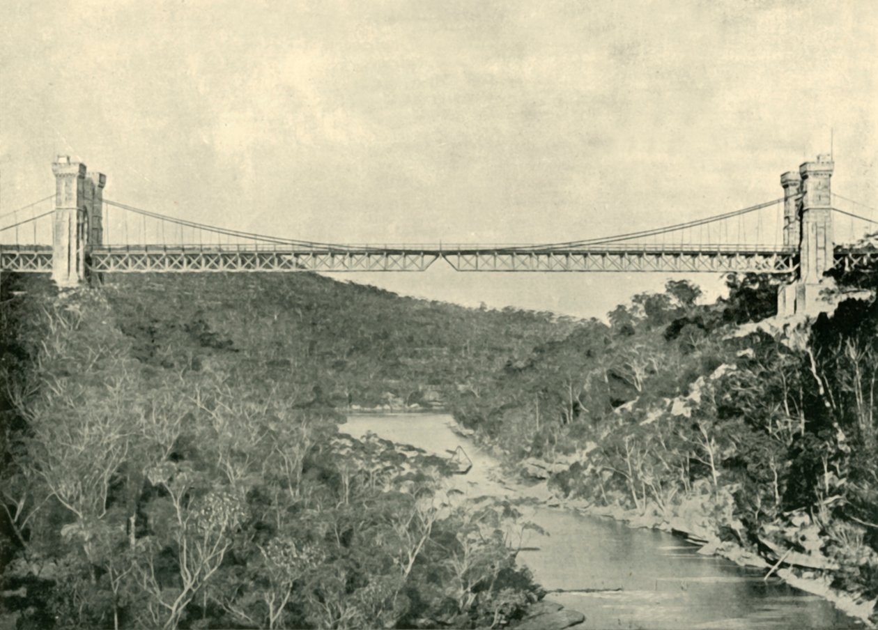 Suspension Bridge, North Sydney, 1901. tekijältä Unbekannt