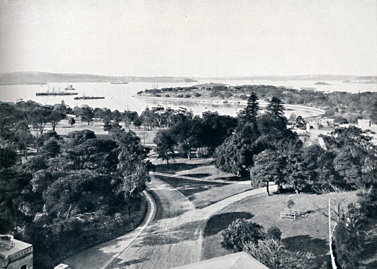Sydneyn satama ja kasvitieteellinen puutarha, c1900. tekijältä Unbekannt