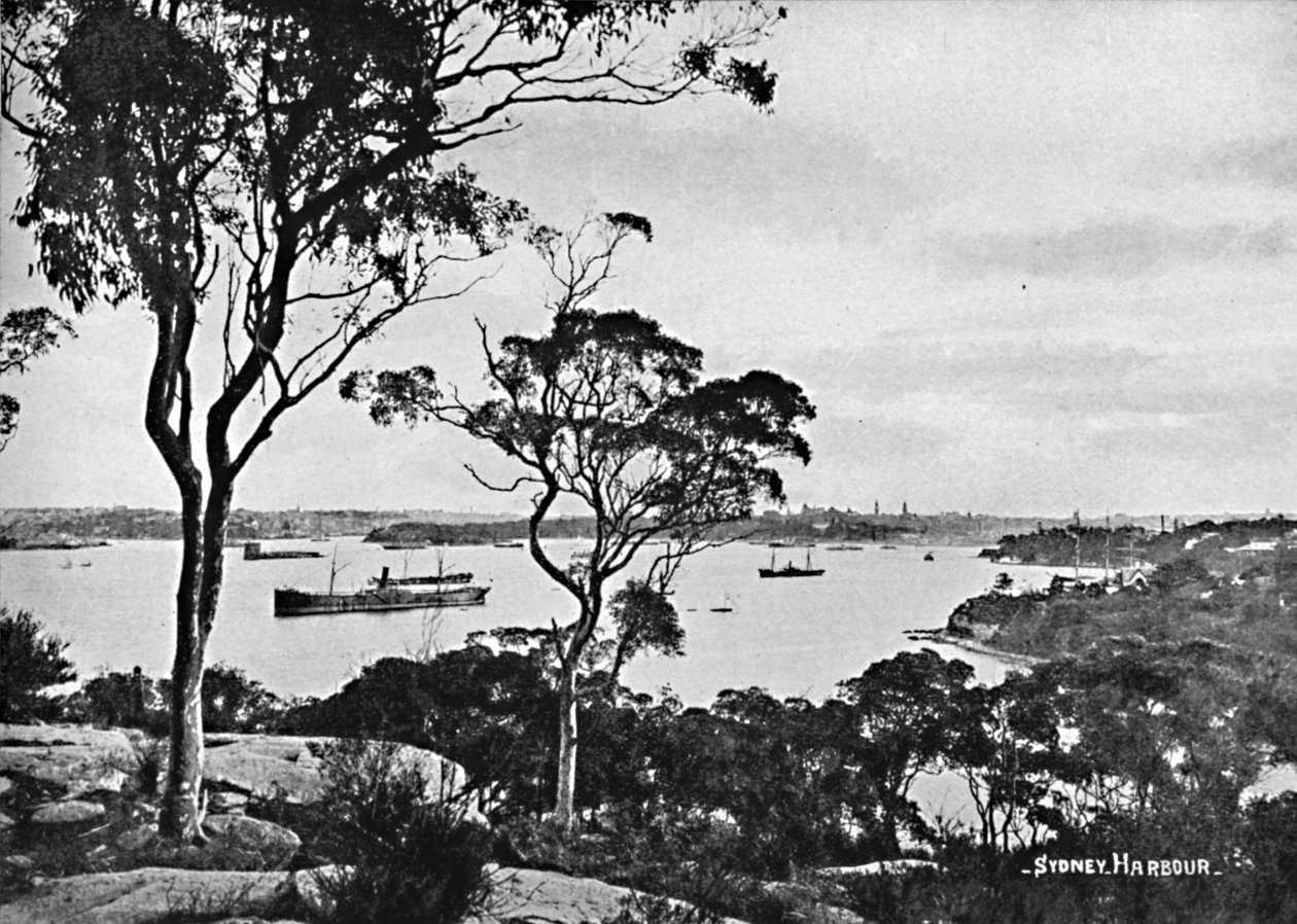 Sydneyn satama, Cremorne Pointista, c1900. tekijältä Unbekannt