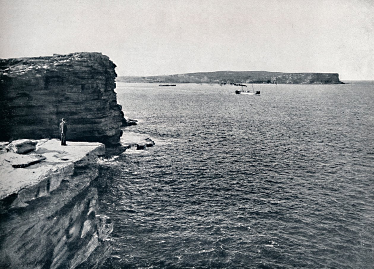 Sydney Heads, Gap at Watsons Bay, 1900. tekijältä Unbekannt
