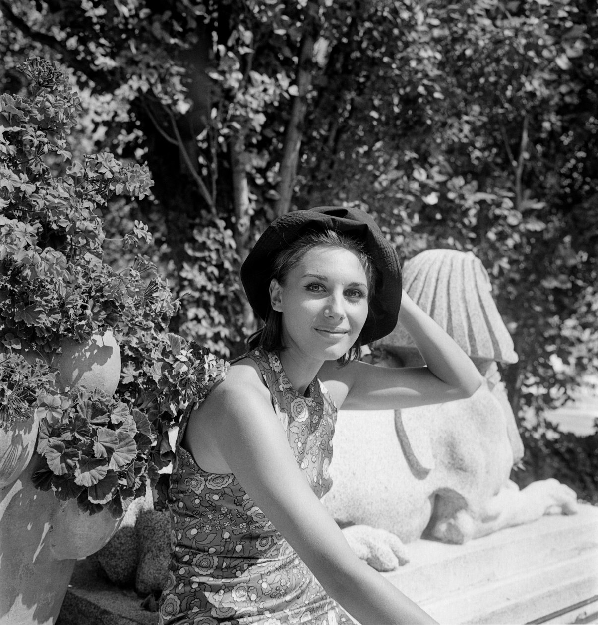 NÄYTTÄJÄ PAOLA PITAGORA XXV KANSAINVÄLISESSÄ elokuvafestivaaleissa VENETSIAN LIDOLLA - 1964 tekijältä Unbekannt