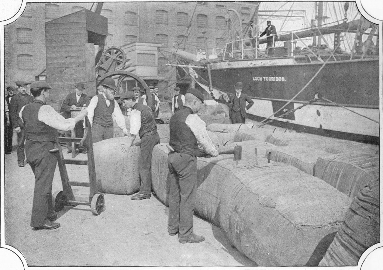 Villapaalien laskeminen London Docksissa, c1900 1901 tekijältä Unbekannt