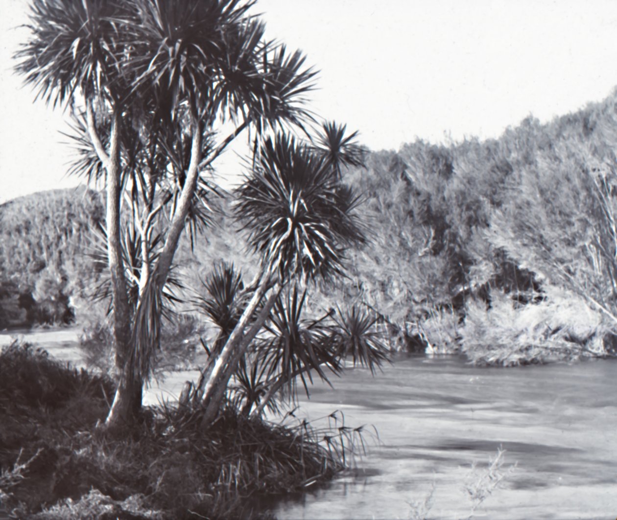 Te Waihou -joki, Okoroire, 1800-luvun loppu - 1900-luvun alku. tekijältä Unbekannt