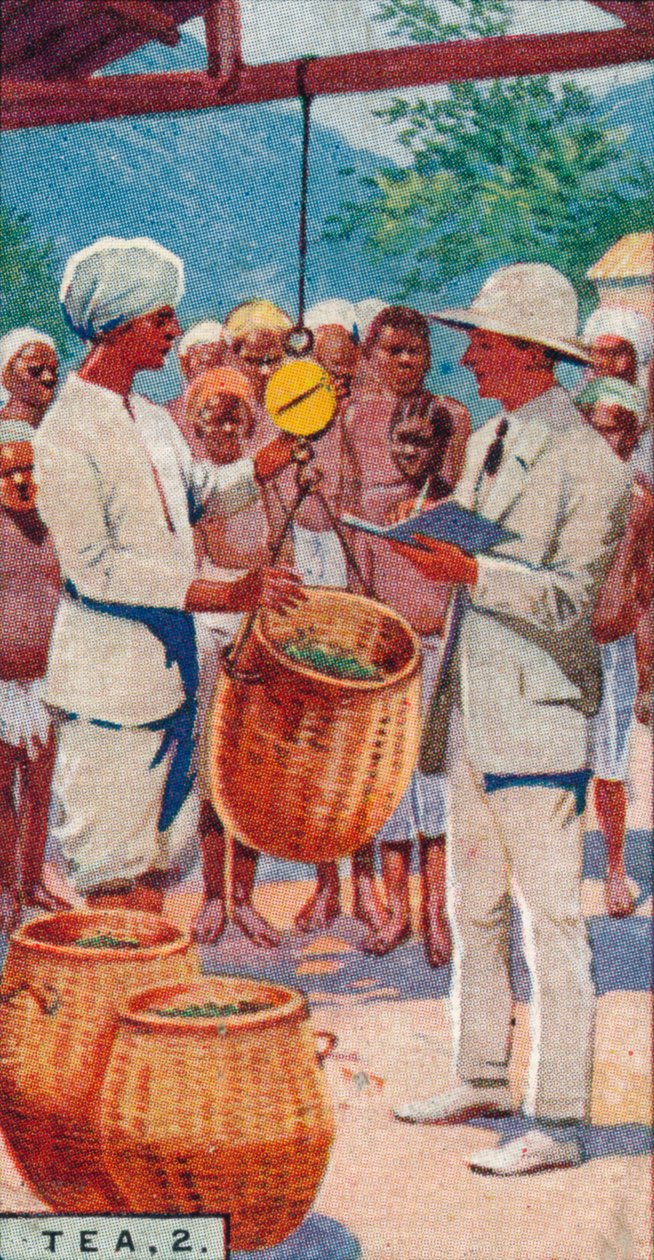 Tea, 2. - Poimijoiden punnitseminen, Ceylon, 1928 tekijältä Unbekannt