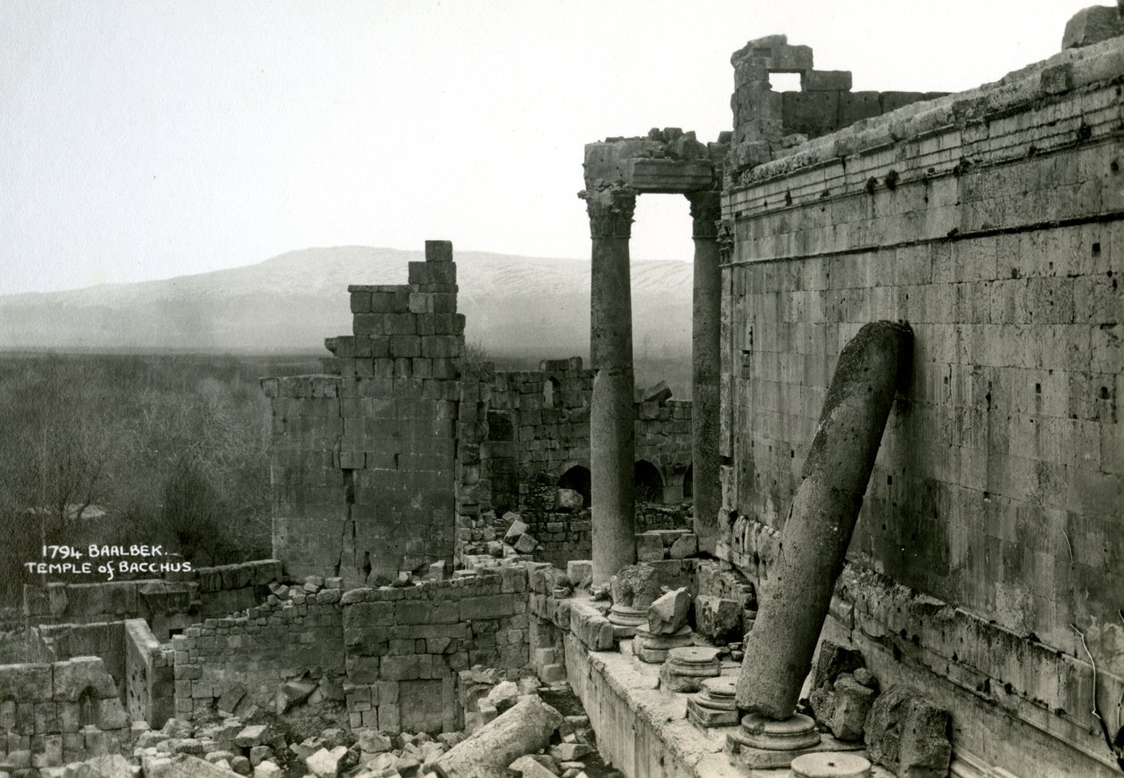Bacchuksen temppeli, Baalbek, Libanon, 1920-1930 tekijältä Unbekannt
