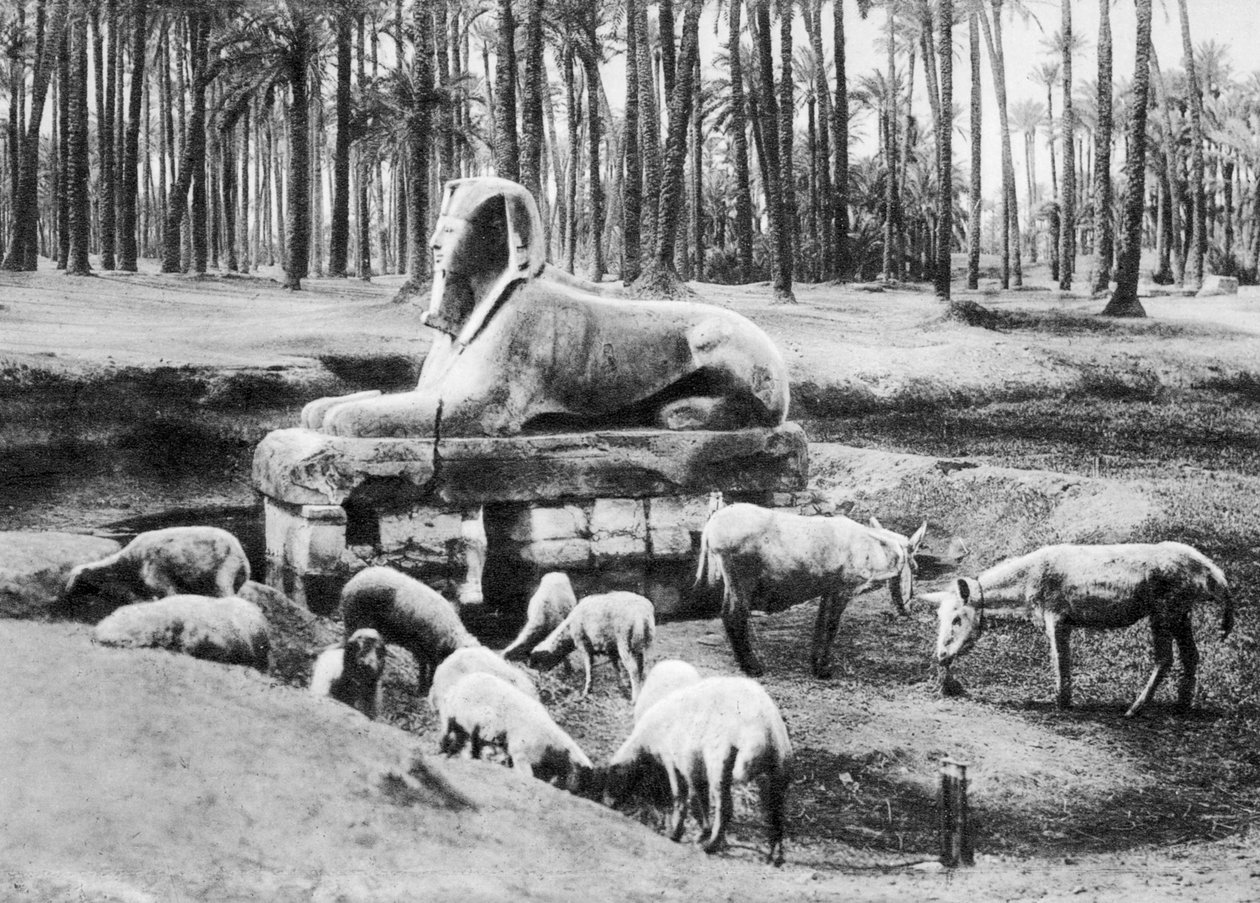 Alabasterisfinksi, Kairo, Egypti, 1920-luku tekijältä Unbekannt