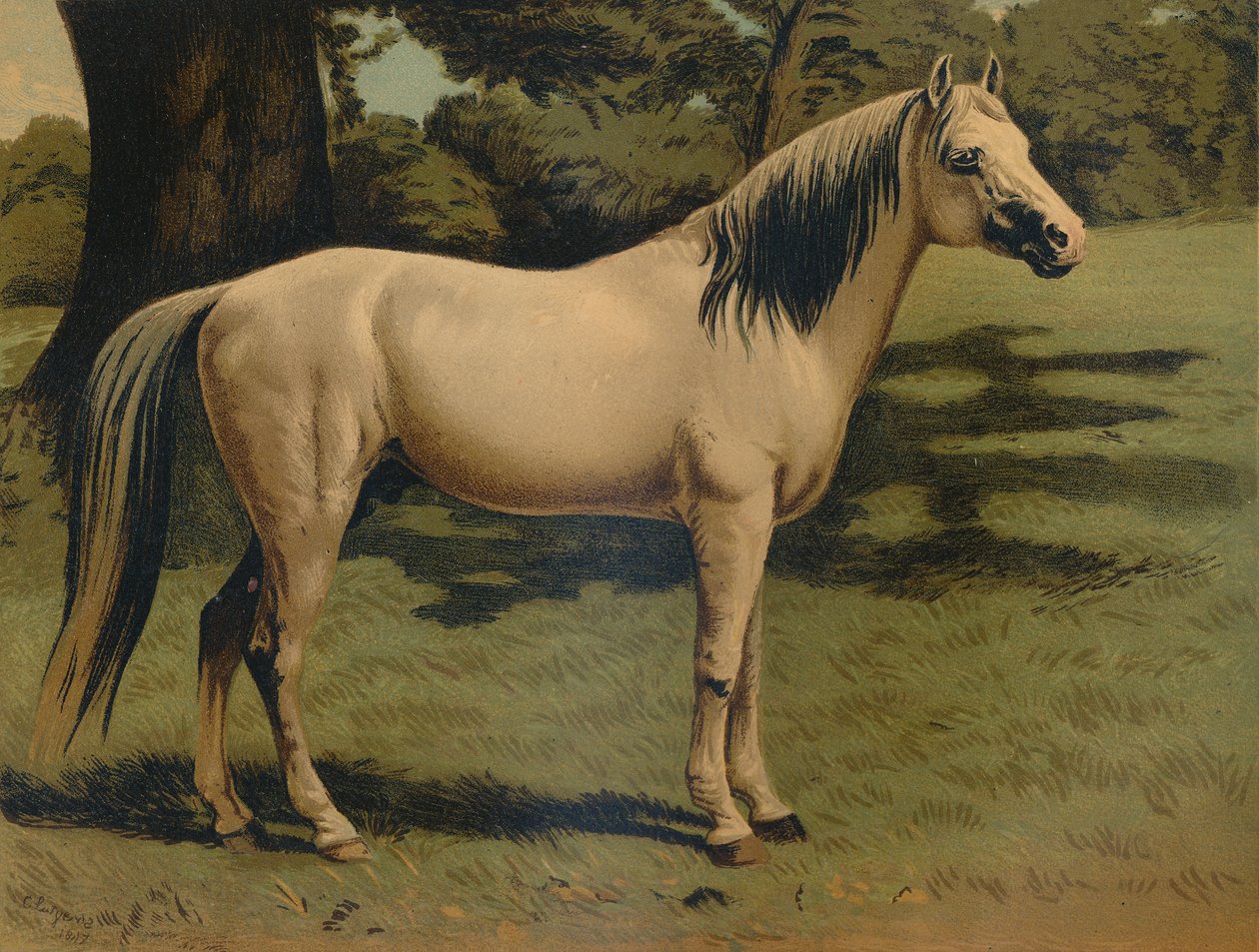 Kenraali Sir Hope Grantin arabiponi, vuodelta 1879. tekijältä Unbekannt