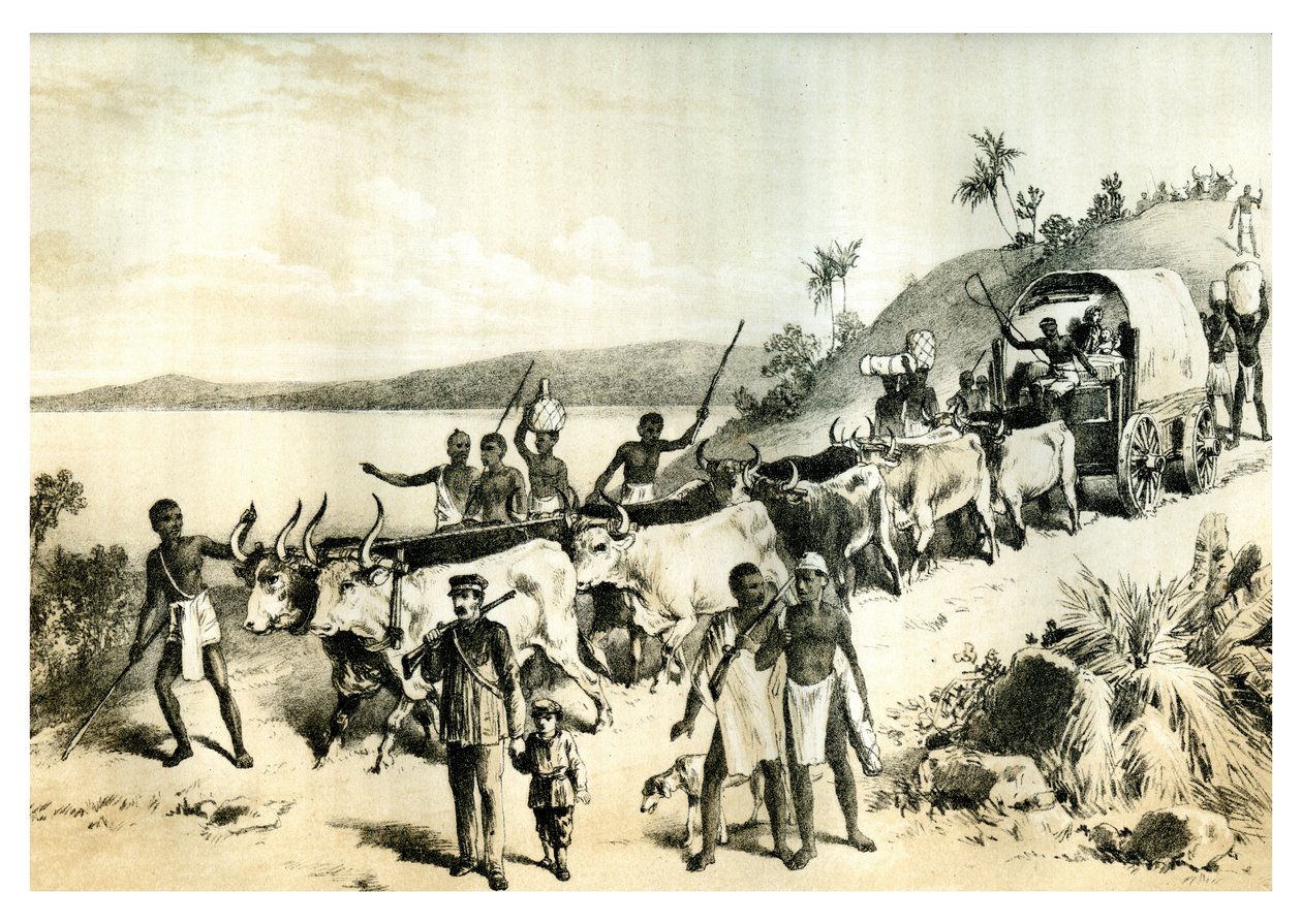 Saapuminen Ngami-järvelle, 1883 tekijältä Unbekannt