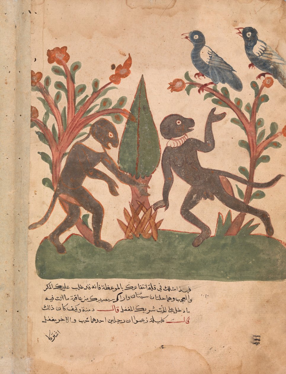 Linnut ja apinat hehkumatolla, Folio Kalila wa Dimnasta, 1700-luku. tekijältä Unbekannt