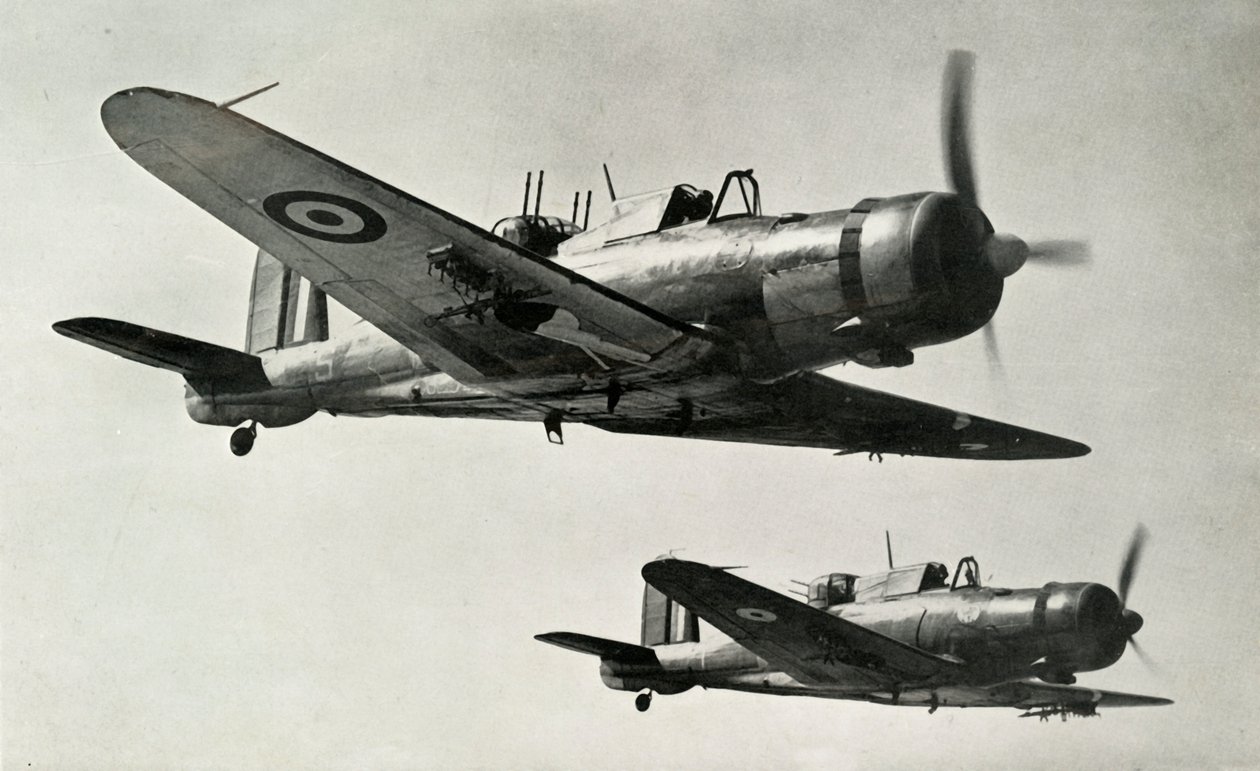 The Blackburn Roc, 1941. tekijältä Unbekannt